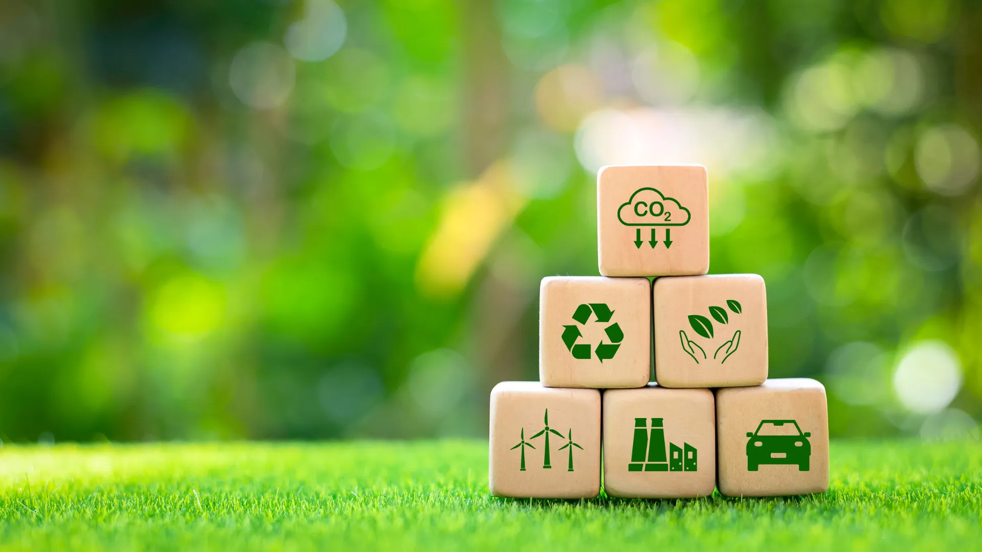 six cubes en bois sur pelouse qui symbolisent les piliers de la RSE